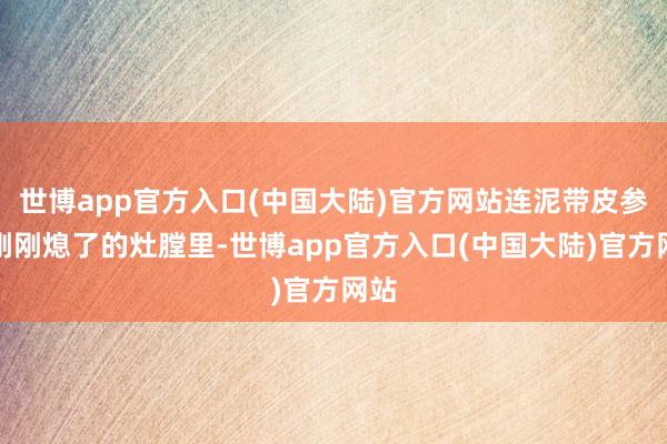 世博app官方入口(中国大陆)官方网站连泥带皮参加刚刚熄了的灶膛里-世博app官方入口(中国大陆)官方网站