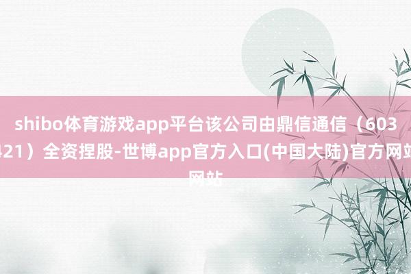 shibo体育游戏app平台该公司由鼎信通信（603421）全资捏股-世博app官方入口(中国大陆)官方网站