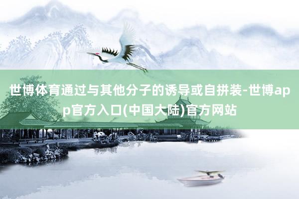 世博体育通过与其他分子的诱导或自拼装-世博app官方入口(中国大陆)官方网站