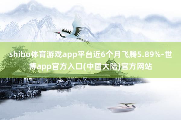 shibo体育游戏app平台近6个月飞腾5.89%-世博app官方入口(中国大陆)官方网站