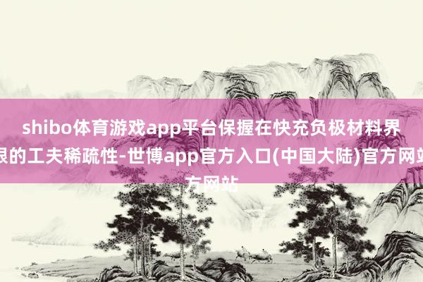 shibo体育游戏app平台保握在快充负极材料界限的工夫稀疏性-世博app官方入口(中国大陆)官方网站