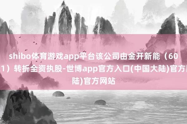 shibo体育游戏app平台该公司由金开新能（600821）转折全资执股-世博app官方入口(中国大陆)官方网站
