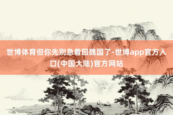 世博体育但你先别急着回魏国了-世博app官方入口(中国大陆)官方网站