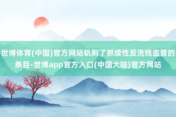 世博体育(中国)官方网站轨则了抓续性反洗钱监管的条目-世博app官方入口(中国大陆)官方网站